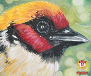 Observadores_de_aves_3