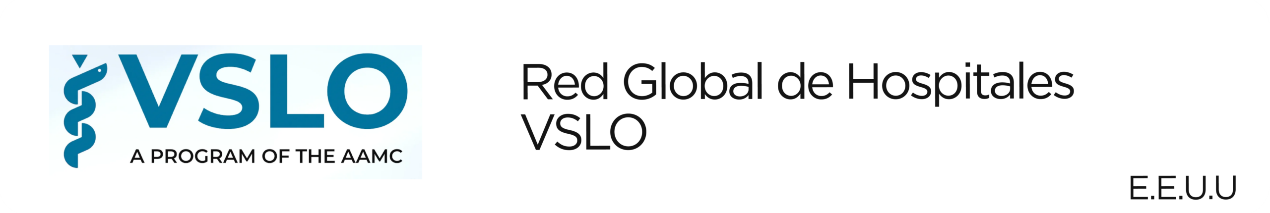 Red Global de Hospitales VSLO